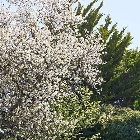 Hotel Troense 3*